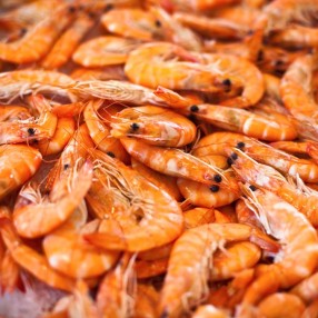 Gambas Arroceras peso aproximado bandeja 250 grs