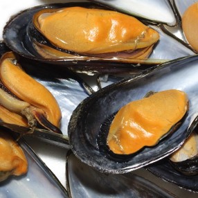 Mejillones peso aproximado bandeja 500 grs