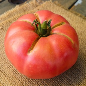 Tomate rosado peso aproximado bandeja 1 kg.