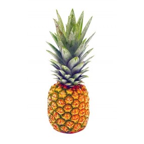 Piña ORO de avión peso aproximado 2.2 kg